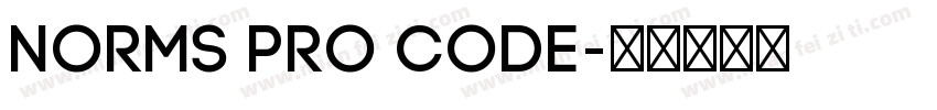 Norms Pro Code字体转换